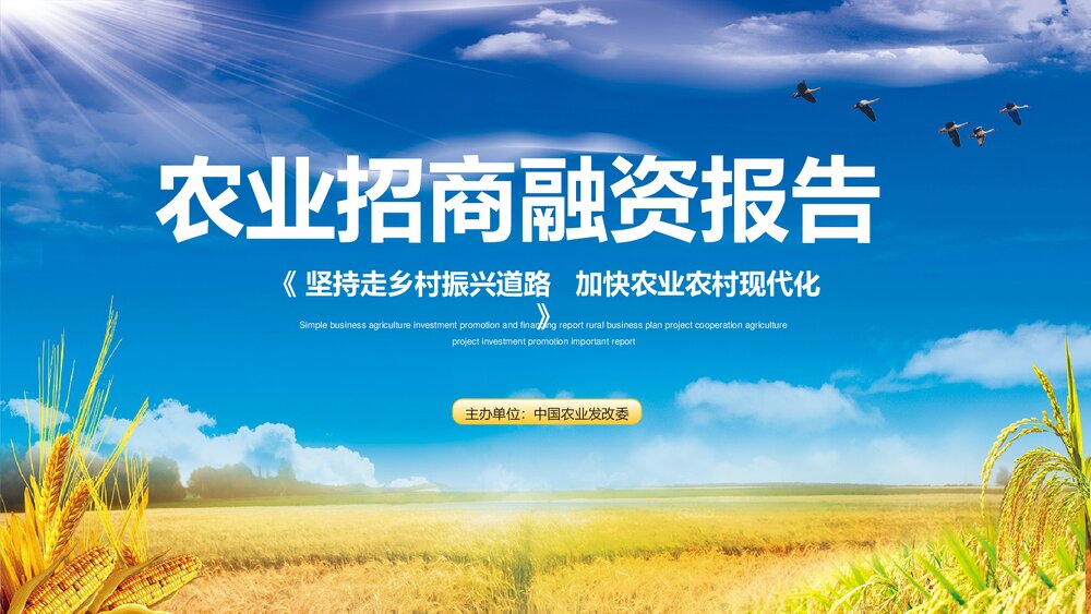金色稻田背景的农业招商融资报告PPT模板1