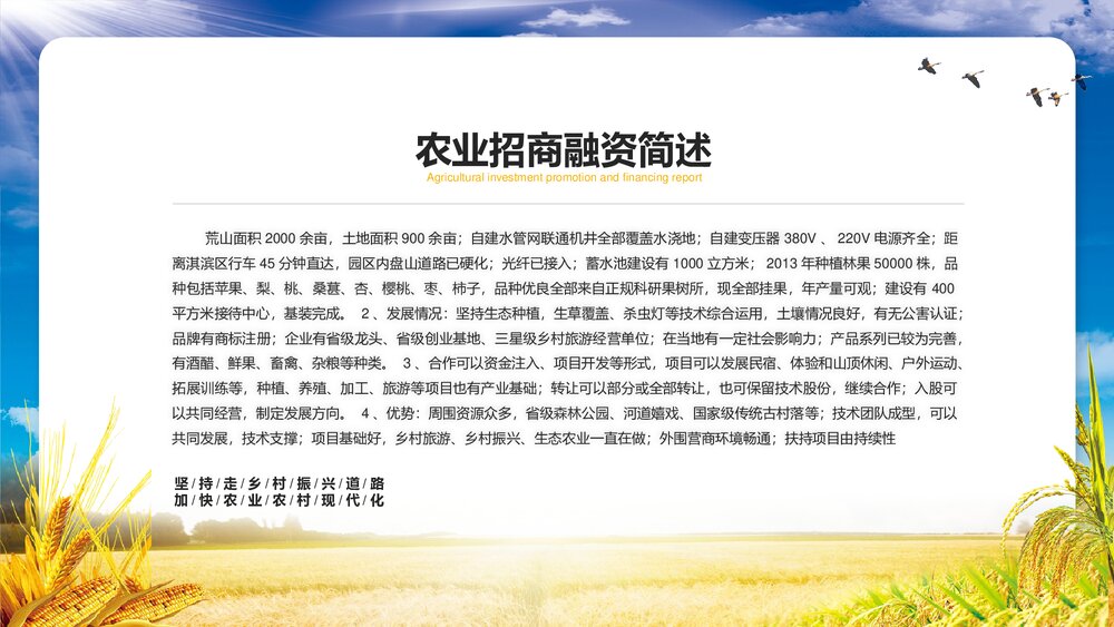 金色稻田背景的农业招商融资报告PPT模板2
