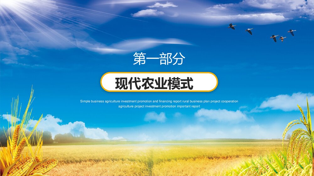 金色稻田背景的农业招商融资报告PPT模板4