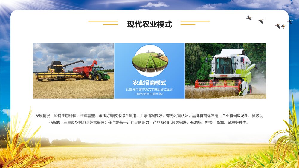 金色稻田背景的农业招商融资报告PPT模板5