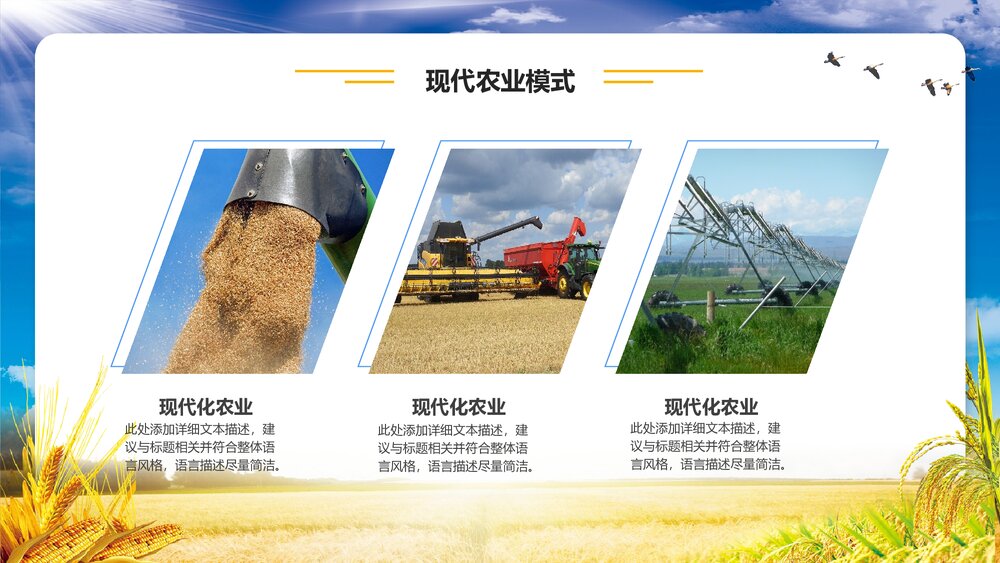 金色稻田背景的农业招商融资报告PPT模板7
