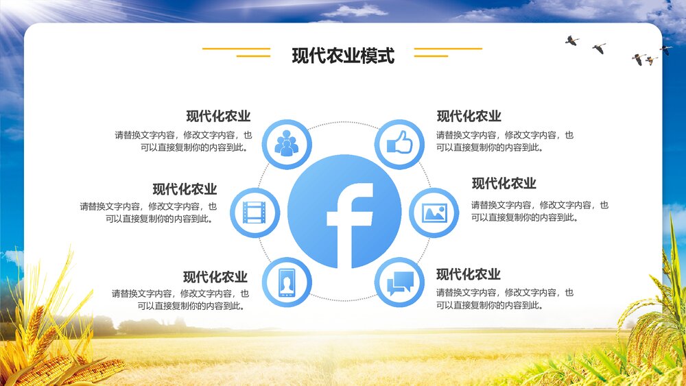 金色稻田背景的农业招商融资报告PPT模板8