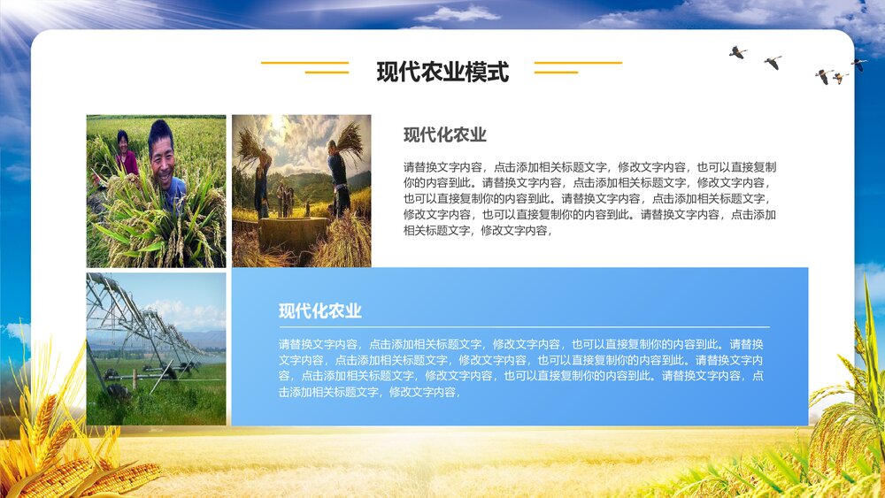 金色稻田背景的农业招商融资报告PPT模板9