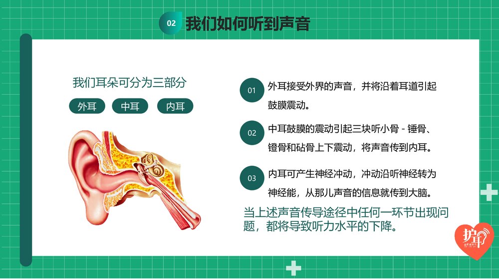 3月3日爱耳日主题学习班会PPT课件下载7
