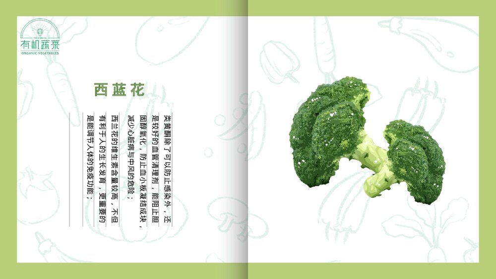 绿色有机蔬菜介绍PPT课件下载4