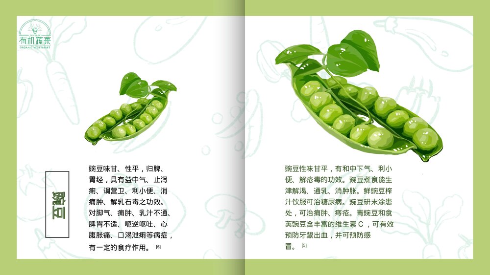 绿色有机蔬菜介绍PPT课件下载5