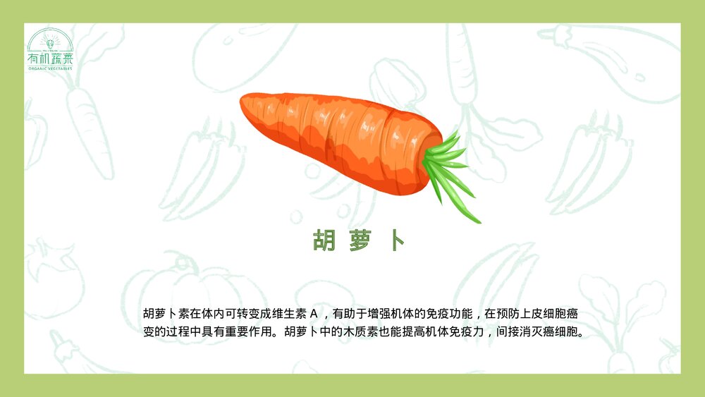 绿色有机蔬菜介绍PPT课件下载7