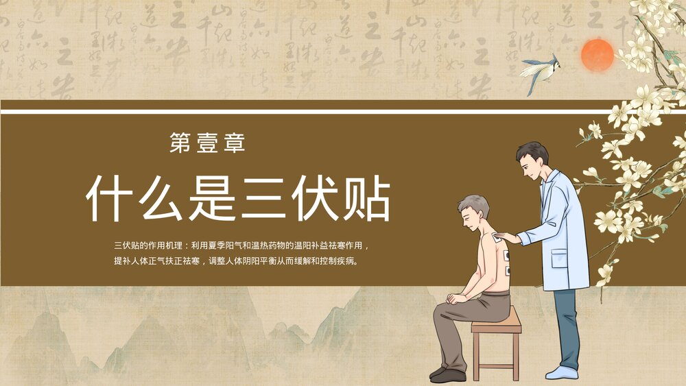 中医养生乃健康之道三伏贴敷操作与准备PPT课件下载3