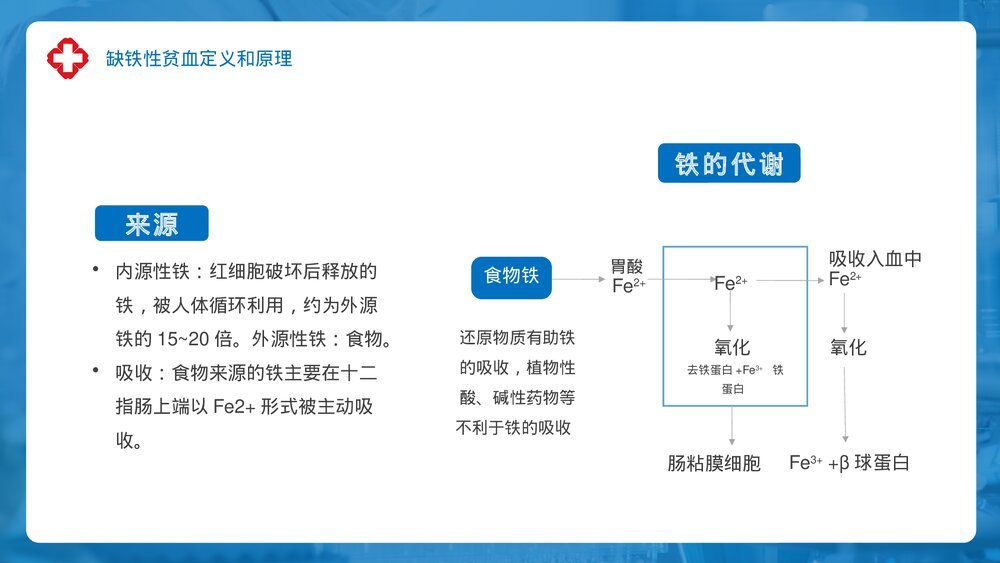 缺铁性贫血医疗护理培训PPT课件下载5