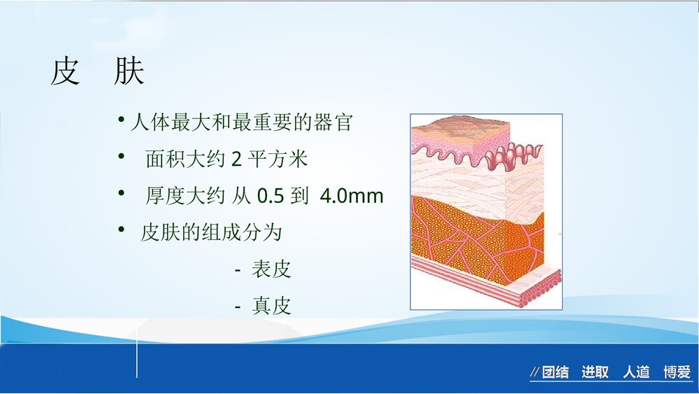 烧伤急救处理ppt课件下载8