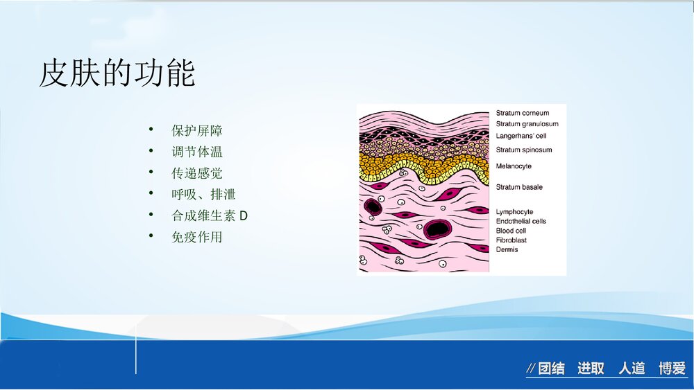 烧伤急救处理ppt课件下载10