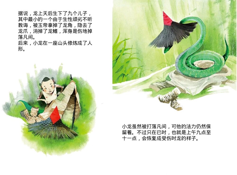 幼儿园小学生儿童十二生肖《蛇》绘本故事ppt课件2