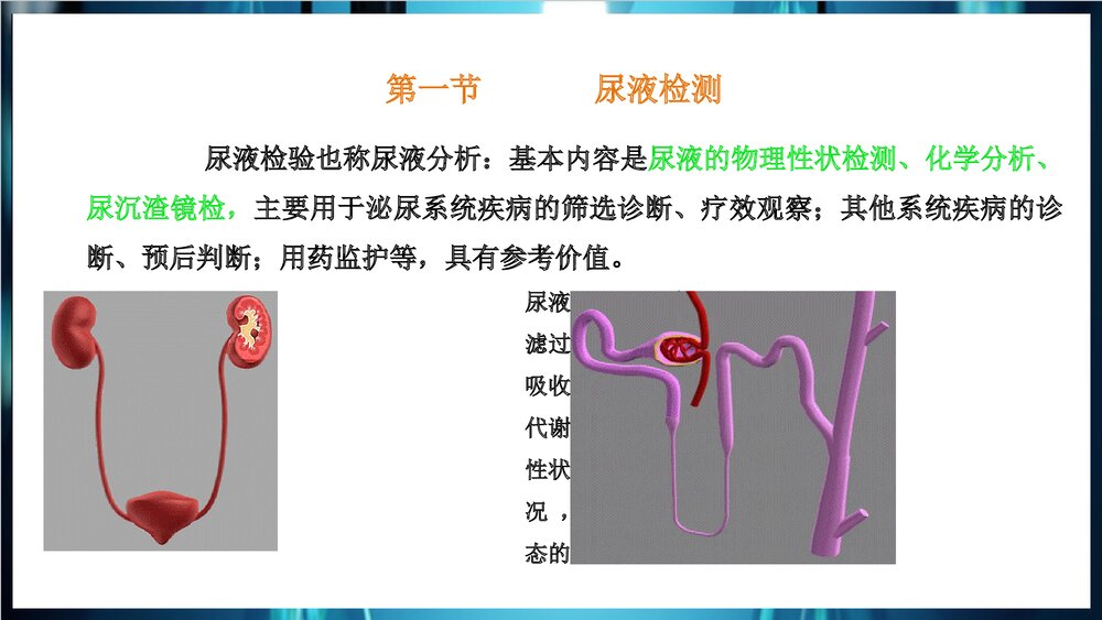 尿常规和沉渣检查PPT课件下载2