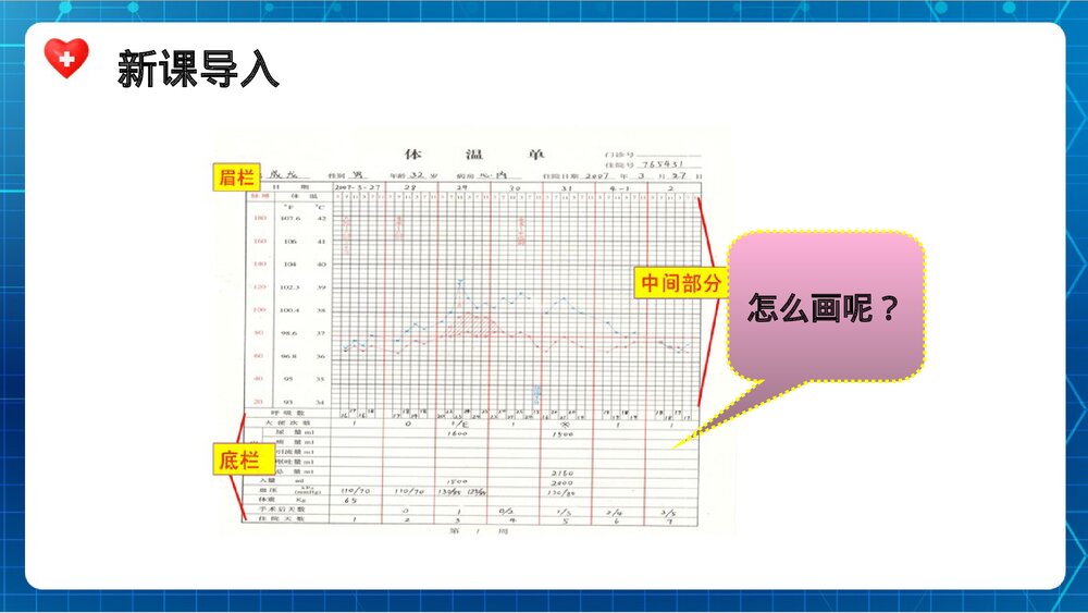 体温单的绘制ppt课件下载3