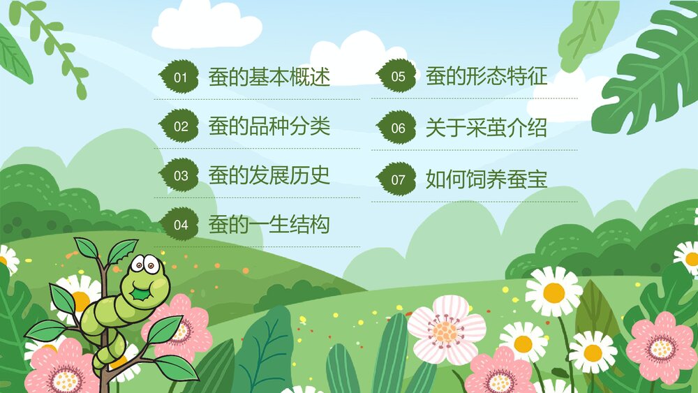 中小学生蚕知识科普宣传主题班会PPT课件下载2