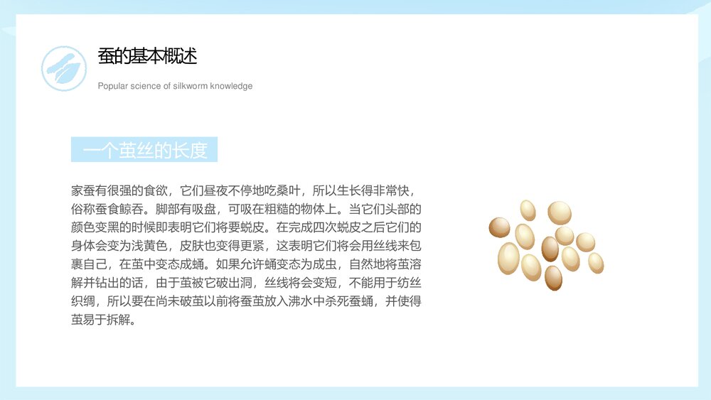 中小学生蚕知识科普宣传主题班会PPT课件下载6
