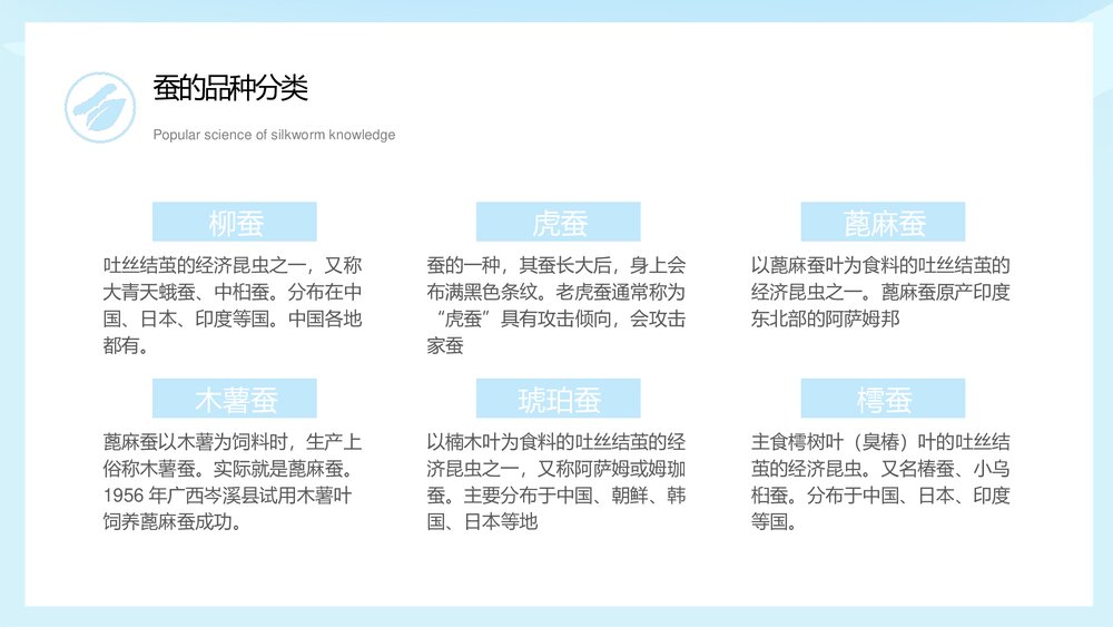 中小学生蚕知识科普宣传主题班会PPT课件下载9