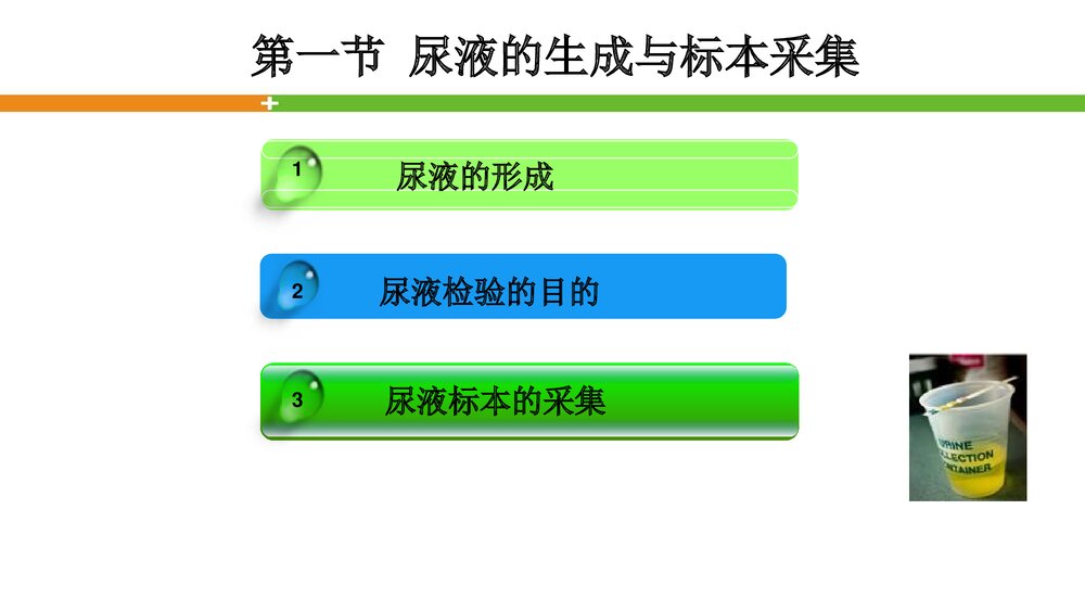 轻松看懂尿常规化验单PPT课件2