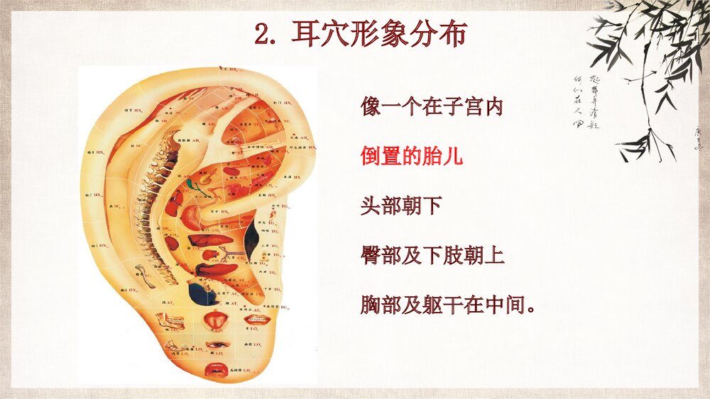 中医护理耳穴压豆PPT课件下载ppt8