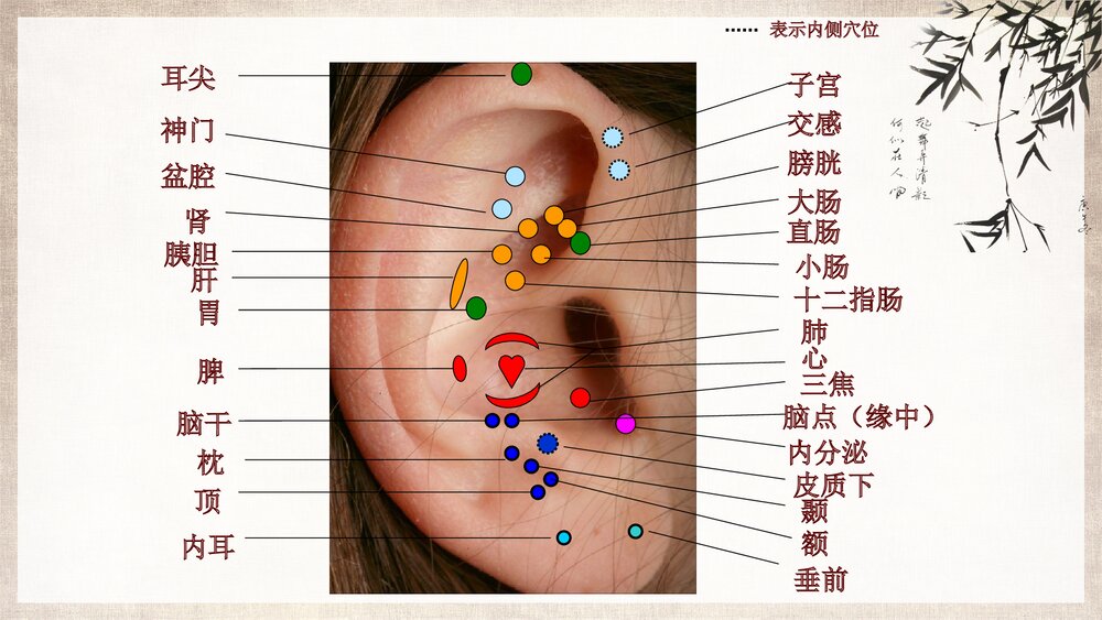 中医护理耳穴压豆PPT课件下载ppt9