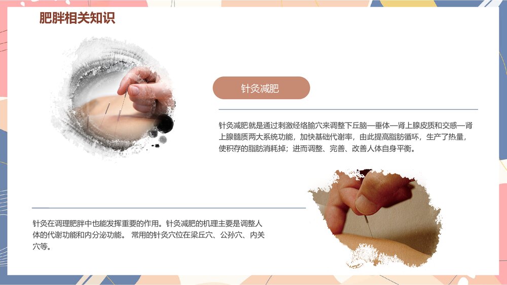 中医减肥辩证施治是关键PPT课件8