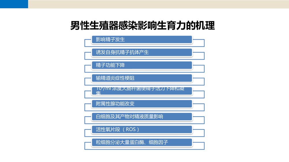 前列腺尿道注药冲洗引流导管技术PPT课件5