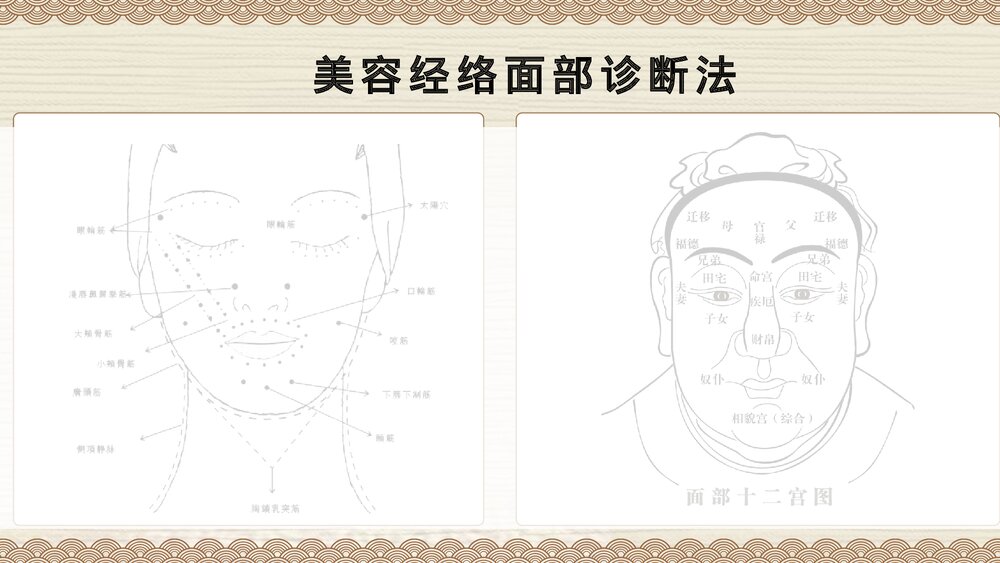 中国风经络与养生中医养生知识PPT课件下载5