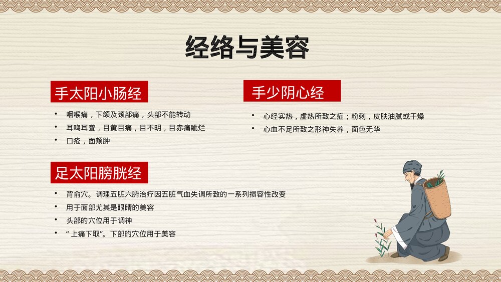 中国风经络与养生中医养生知识PPT课件下载10