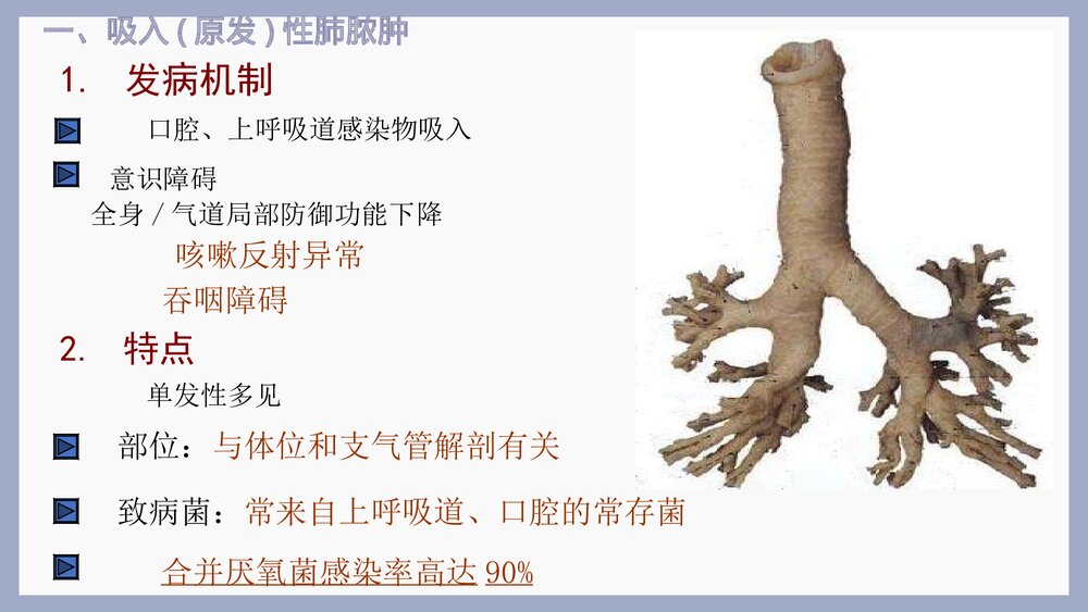 肺脓肿的临床表现及治疗PPT课件下载5