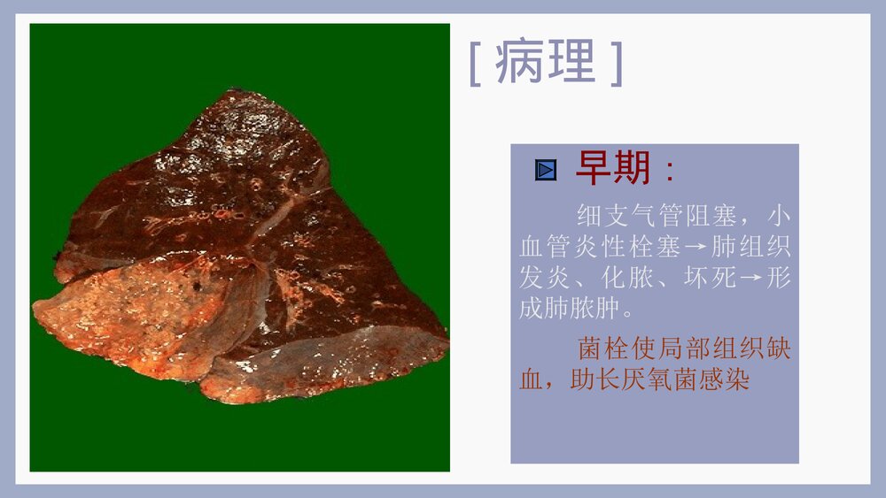 肺脓肿的临床表现及治疗PPT课件下载8