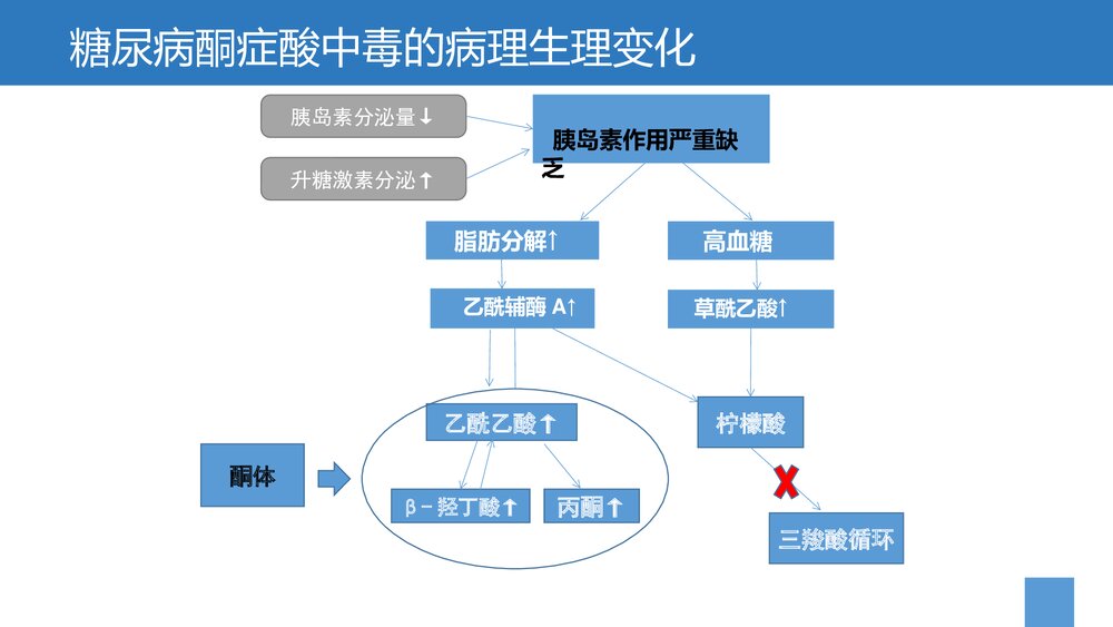糖尿病酮症酸中毒的诊治PPT课件下载10
