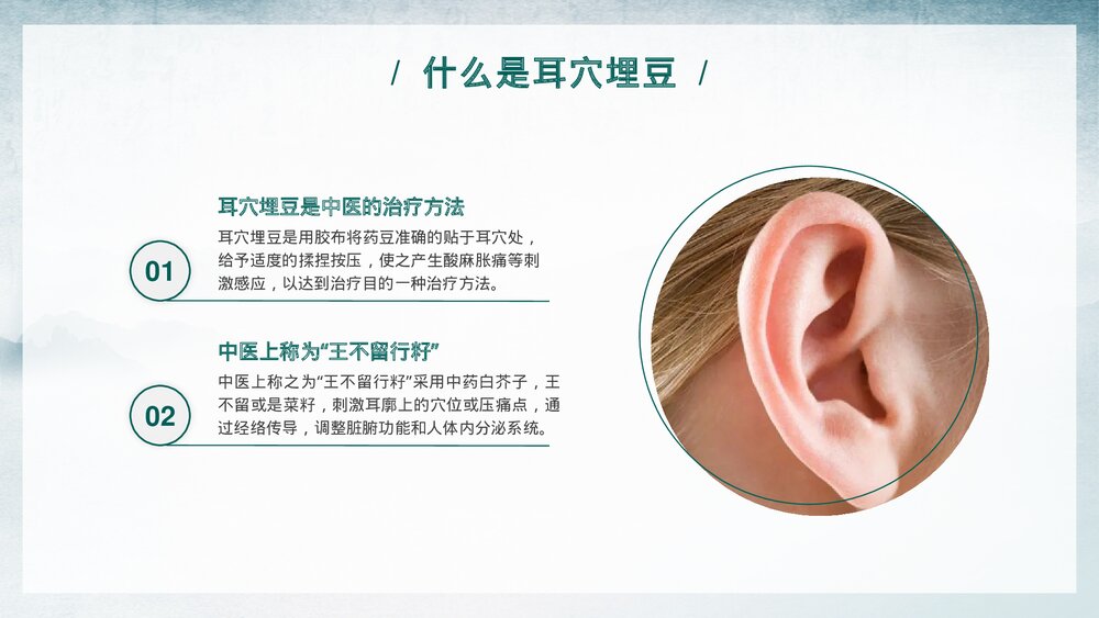 中医耳穴埋豆传统理疗操作培训PPT课件下载4