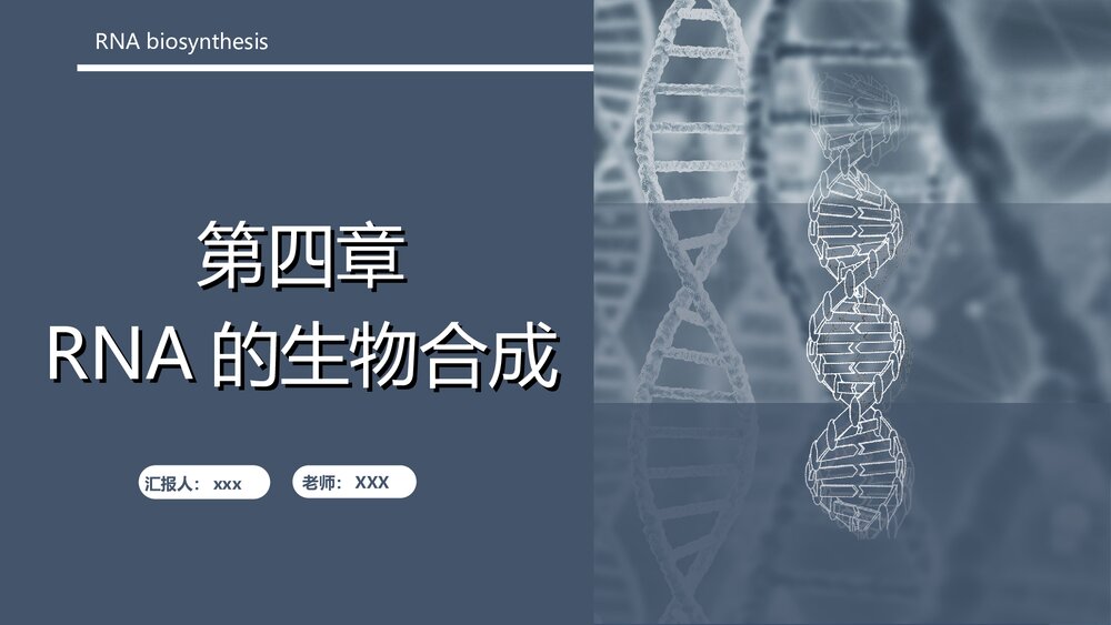 rna生物合成ppt1