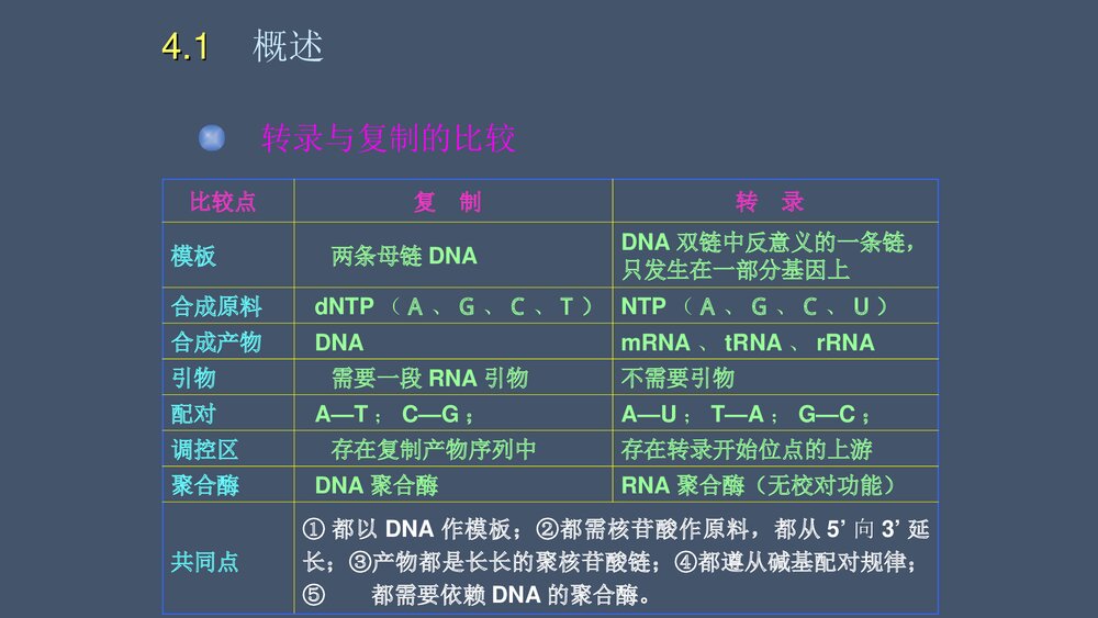 rna生物合成ppt10